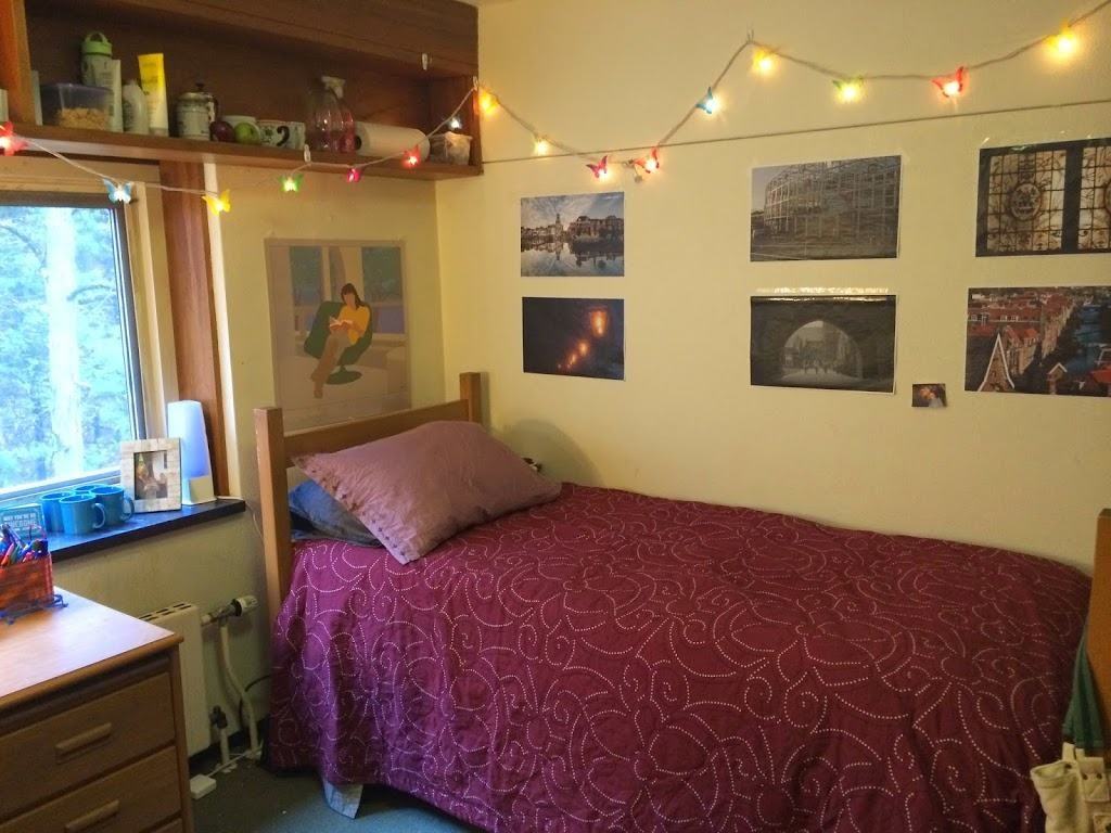 Sara Laughed's sophomore dorm room!